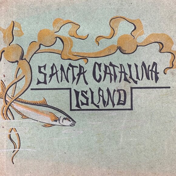 Antique 1905 Santa Catalina Island California Booklet Photographs Black White - Picture 4 of 16